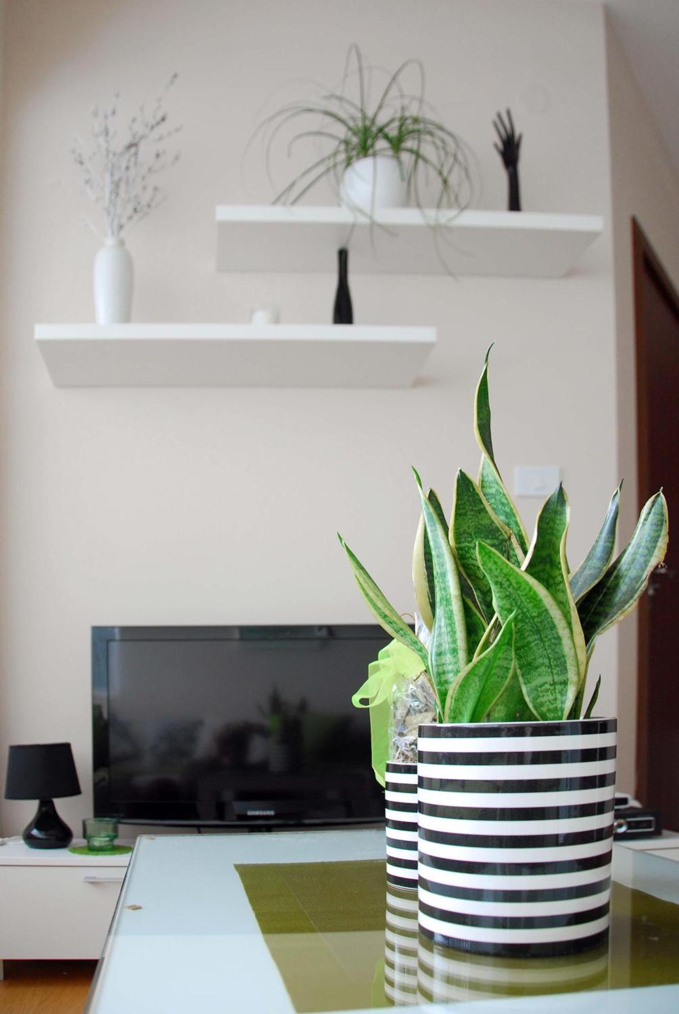Apartments Iva Тиват Екстериор снимка