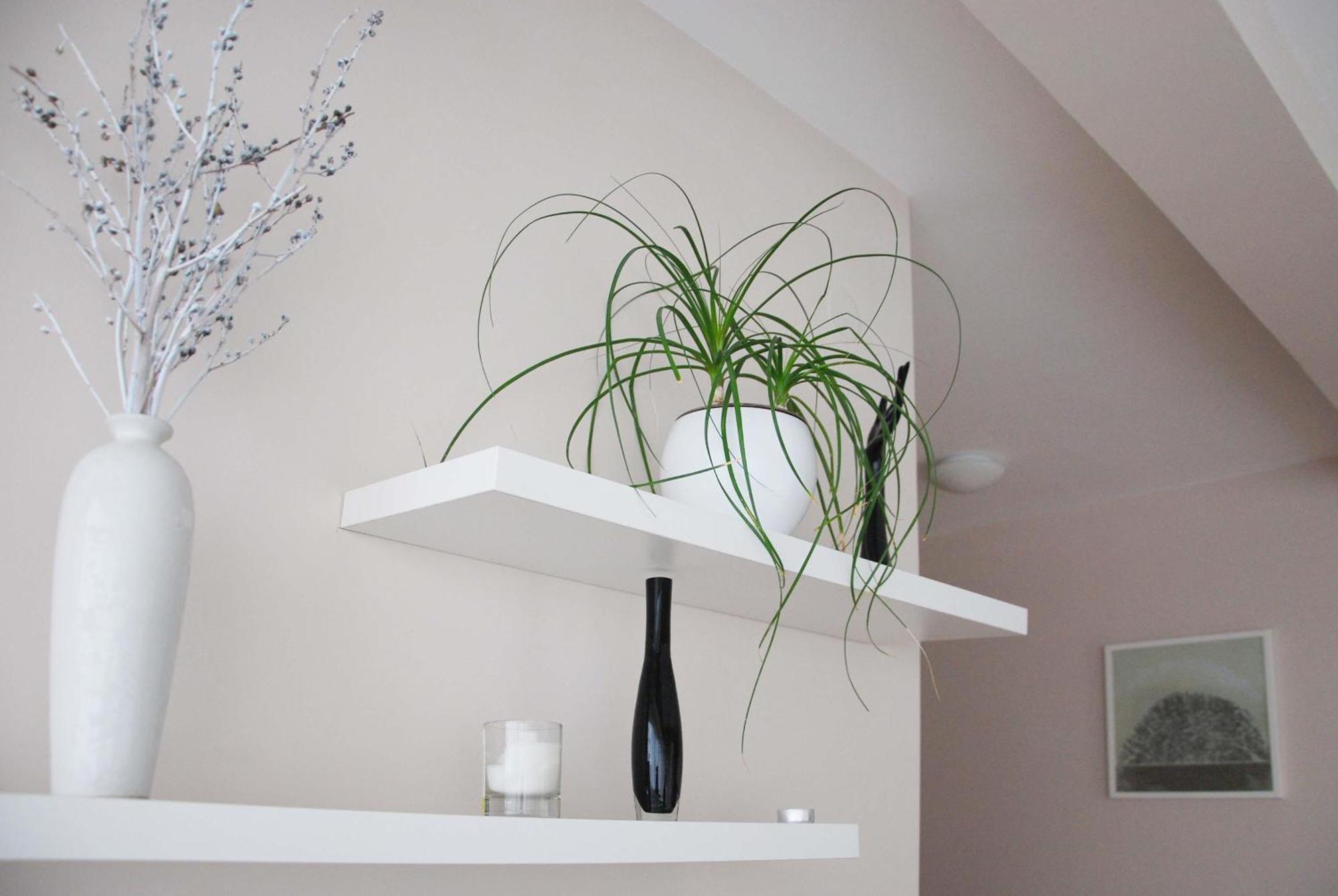 Apartments Iva Тиват Екстериор снимка