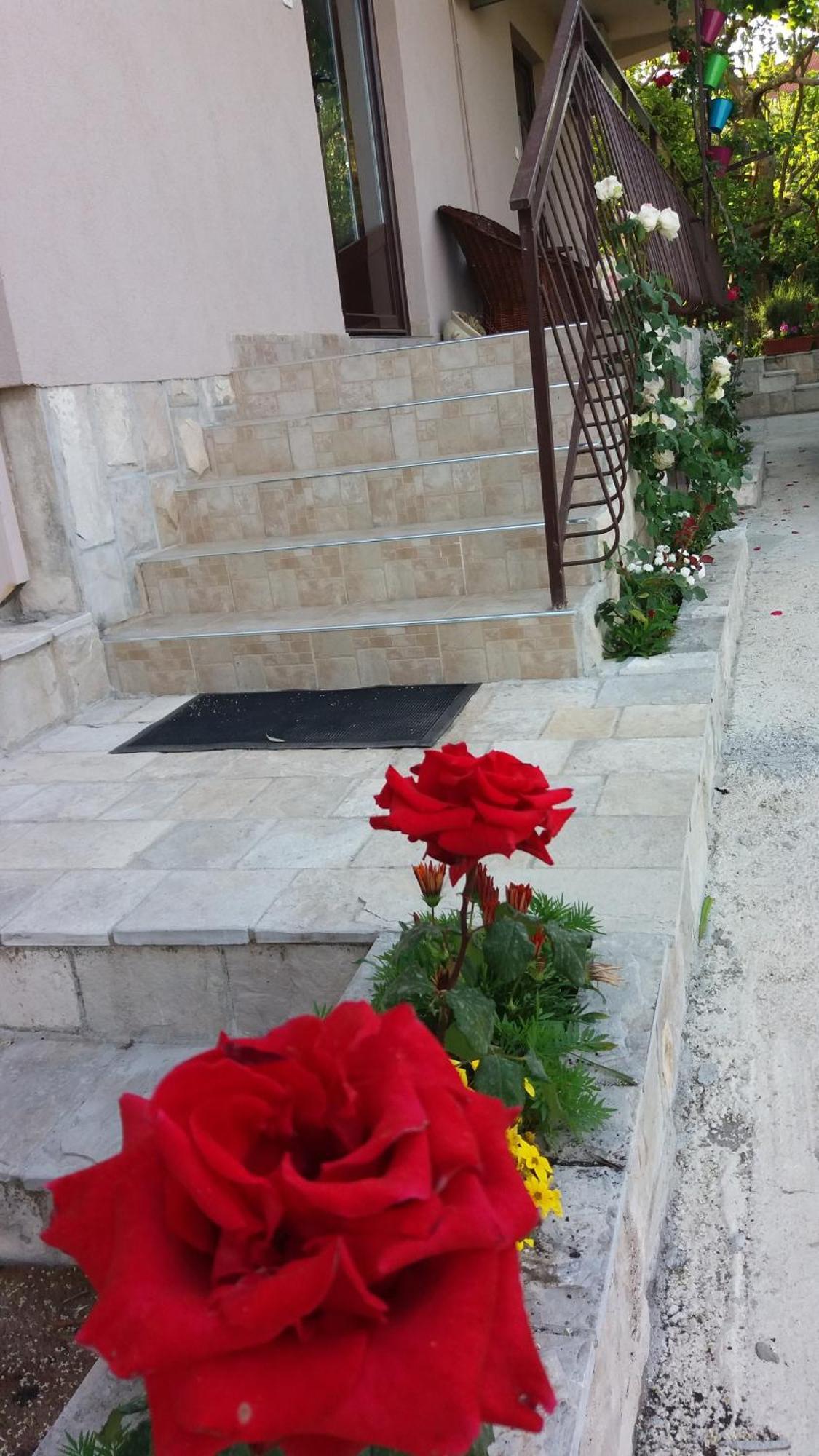 Apartments Iva Тиват Екстериор снимка